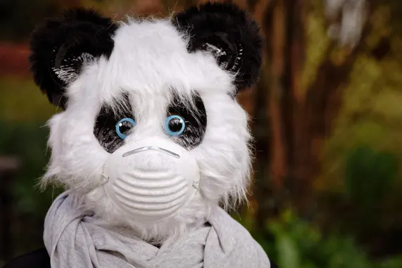 Пронто Казино Поддръжка